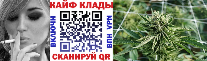Наркотические вещества Каменногорск A PVP  Codein  Кокаин  Мефедрон 