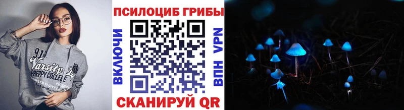 наркошоп Каменногорск Псилоцибиновые грибы Cubensis